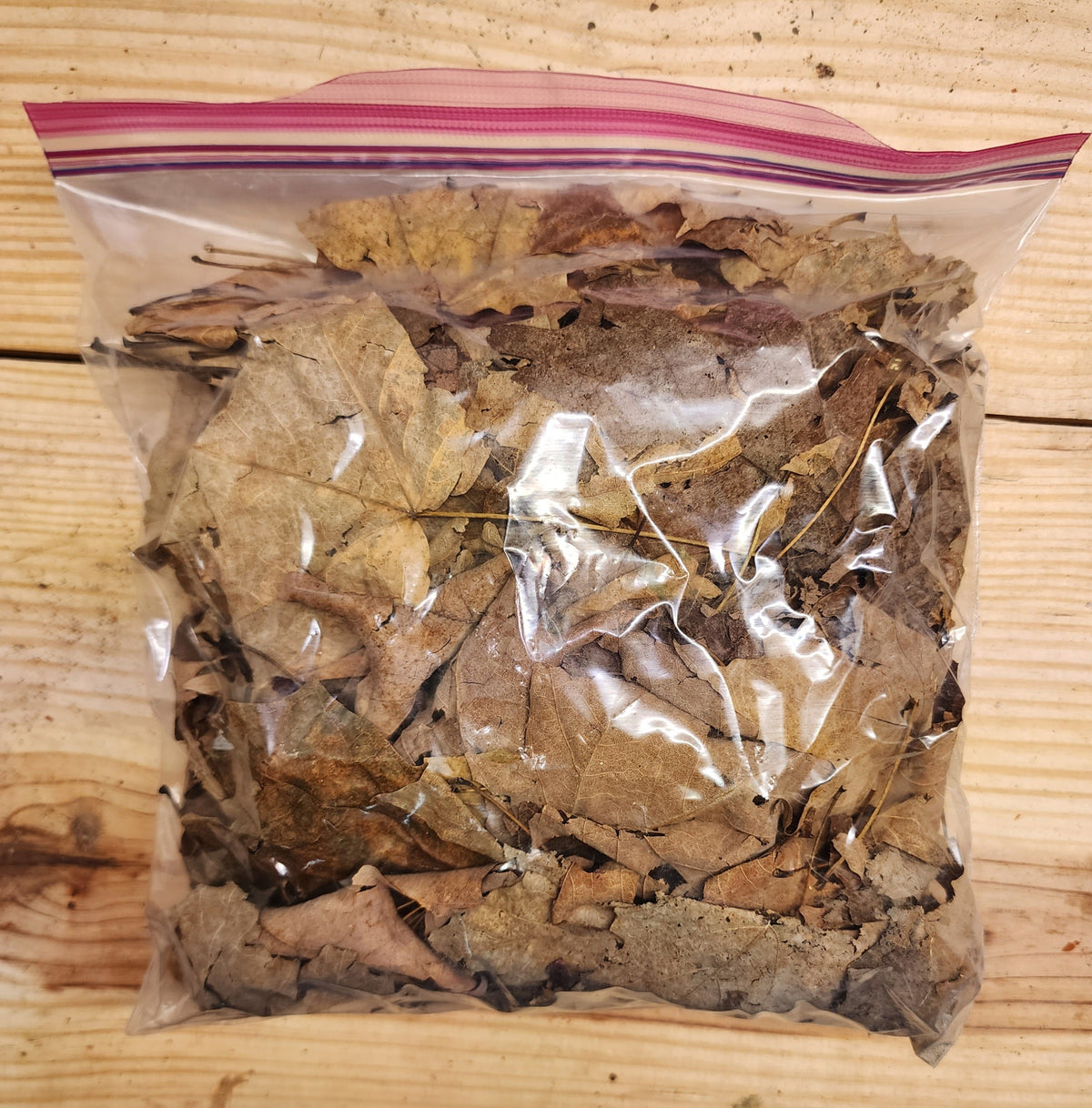 Isopod Supplies