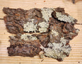 Hard Wood Bark